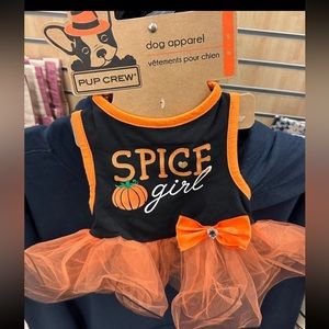 Dog Dress Spice Girl